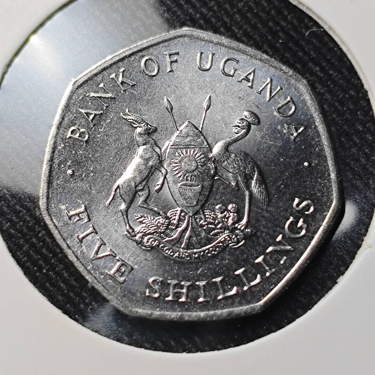 KK钱币收藏小铺  第391期  2月预留时间 周末发货