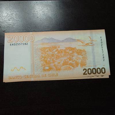 【新年十二拍】世界钱币～微拍第233期暨2026年第12期  多款老库存低价起拍 - 2020年智利20000比索 全新绝品无4尾号282