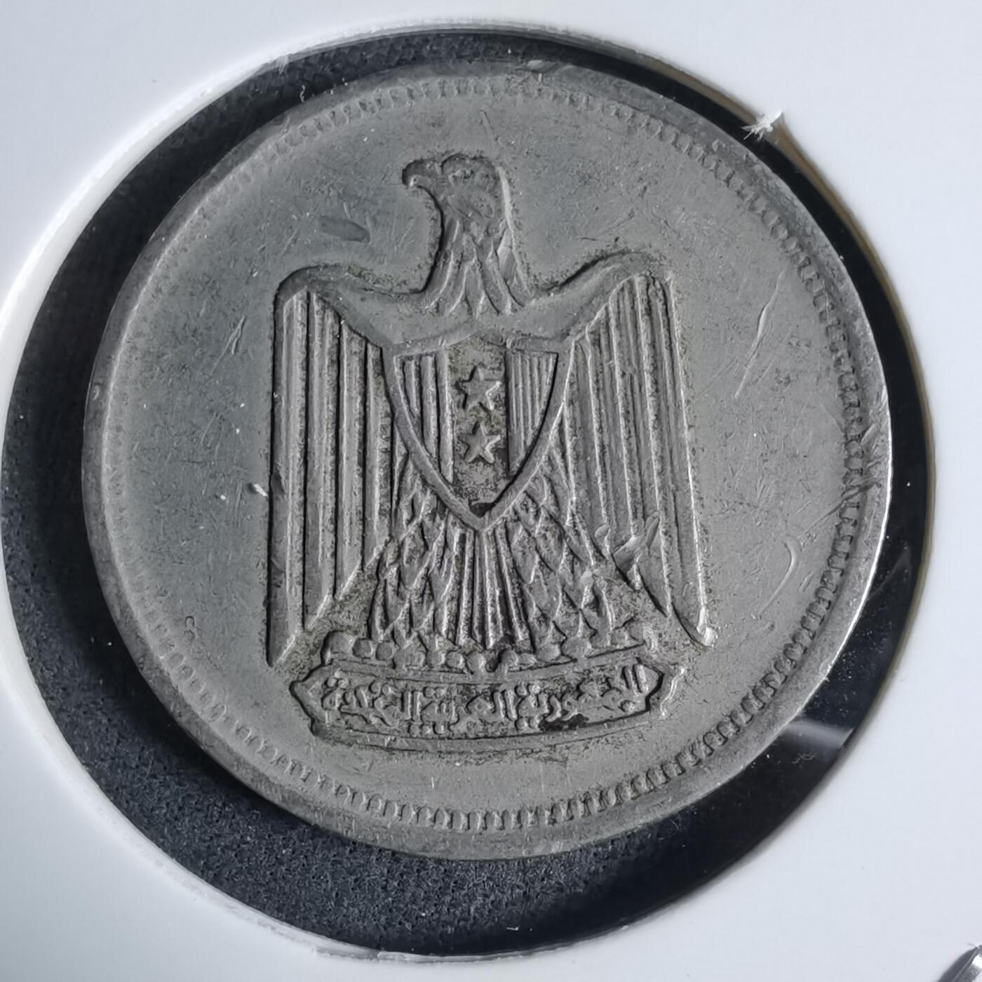 沼泽如烟--第983场