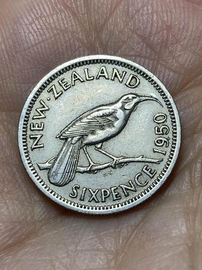 2026年第十八场(总第一百八十七场）外国好品散币场(免佣金) - 特年好品–新西兰🇳🇿1950年6便士(乔治六世第三版)