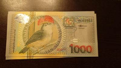 【新年十二拍】世界钱币～微拍第233期暨2026年第12期  多款老库存低价起拍 - 2000年苏里南1000 全新绝品无47尾号621