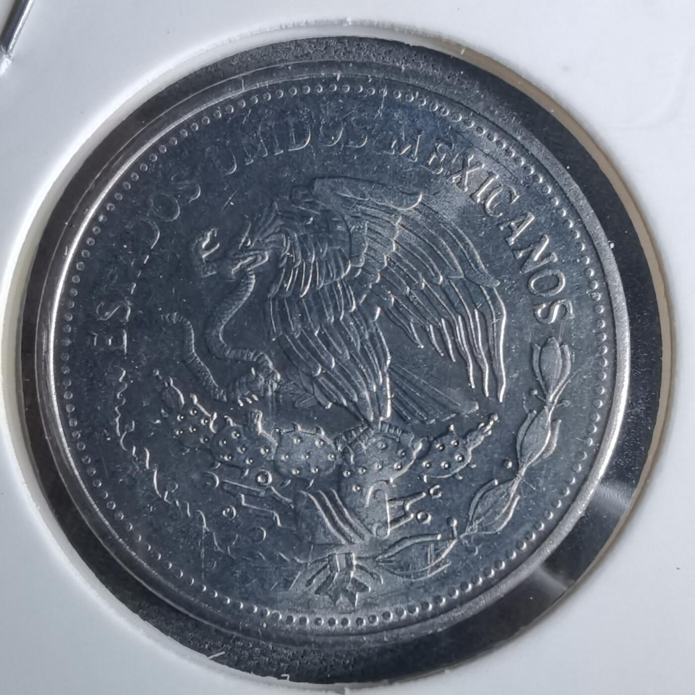 沼泽如烟--第983场