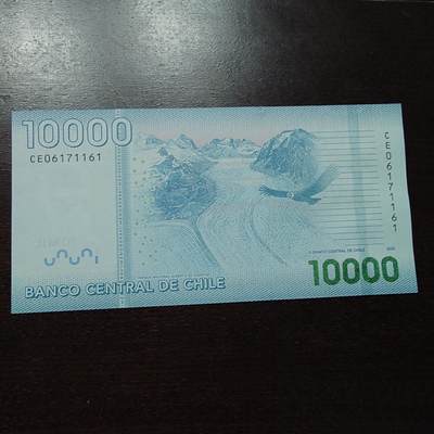 【新年十二拍】世界钱币～微拍第233期暨2026年第12期  多款老库存低价起拍 - 2020年智利10000比索 全新绝品无4尾号161