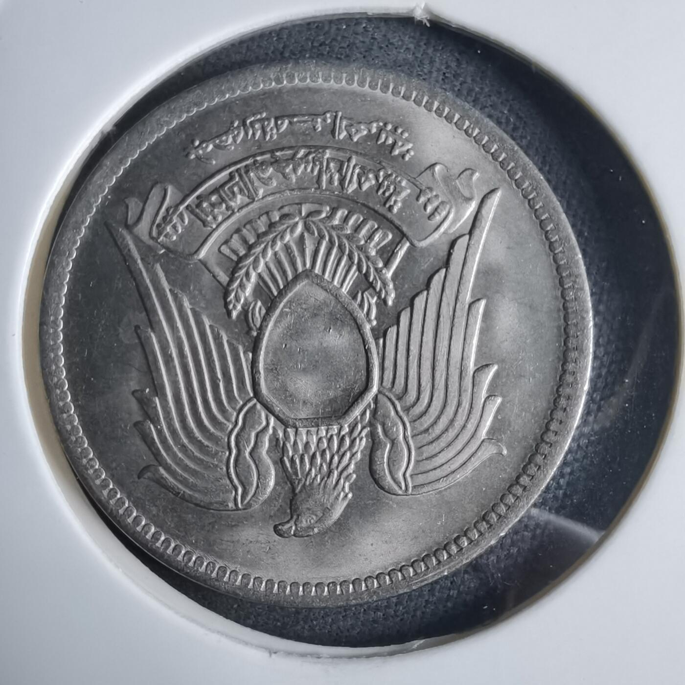 沼泽如烟--第983场 埃及