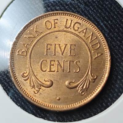 KK钱币收藏小铺  第391期  2月预留时间 周末发货 -  乌干达5分铜币