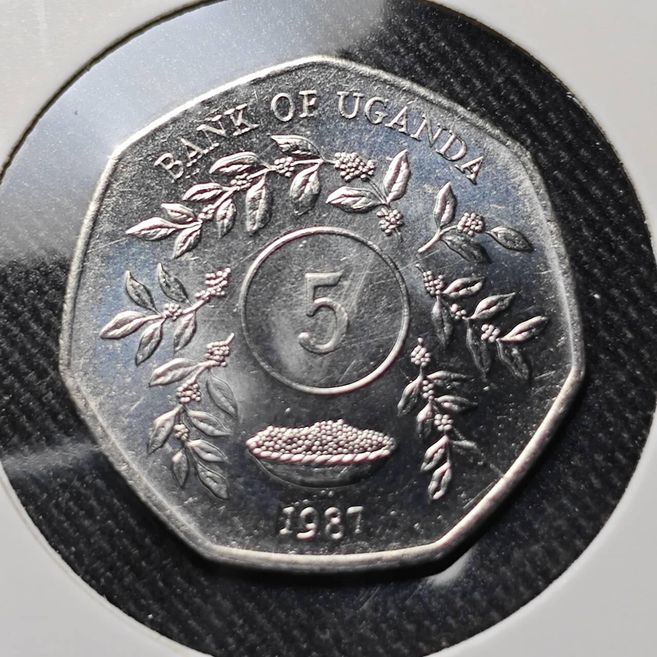 KK钱币收藏小铺  第391期  2月预留时间 周末发货