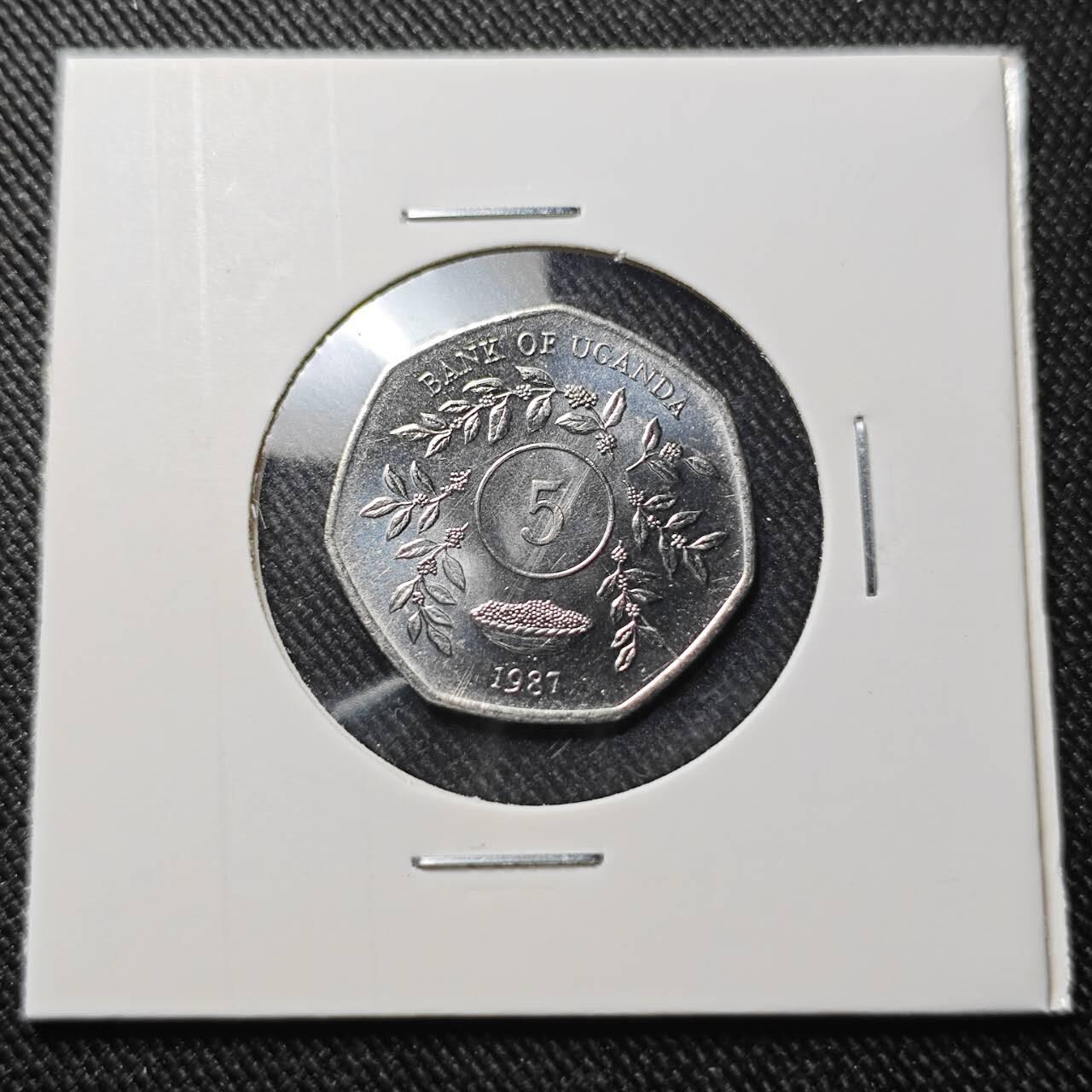 KK钱币收藏小铺  第391期  2月预留时间 周末发货