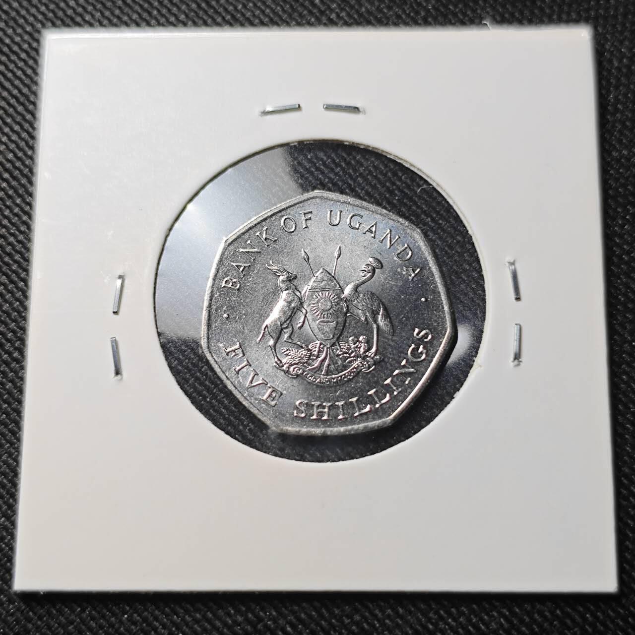 KK钱币收藏小铺  第391期  2月预留时间 周末发货