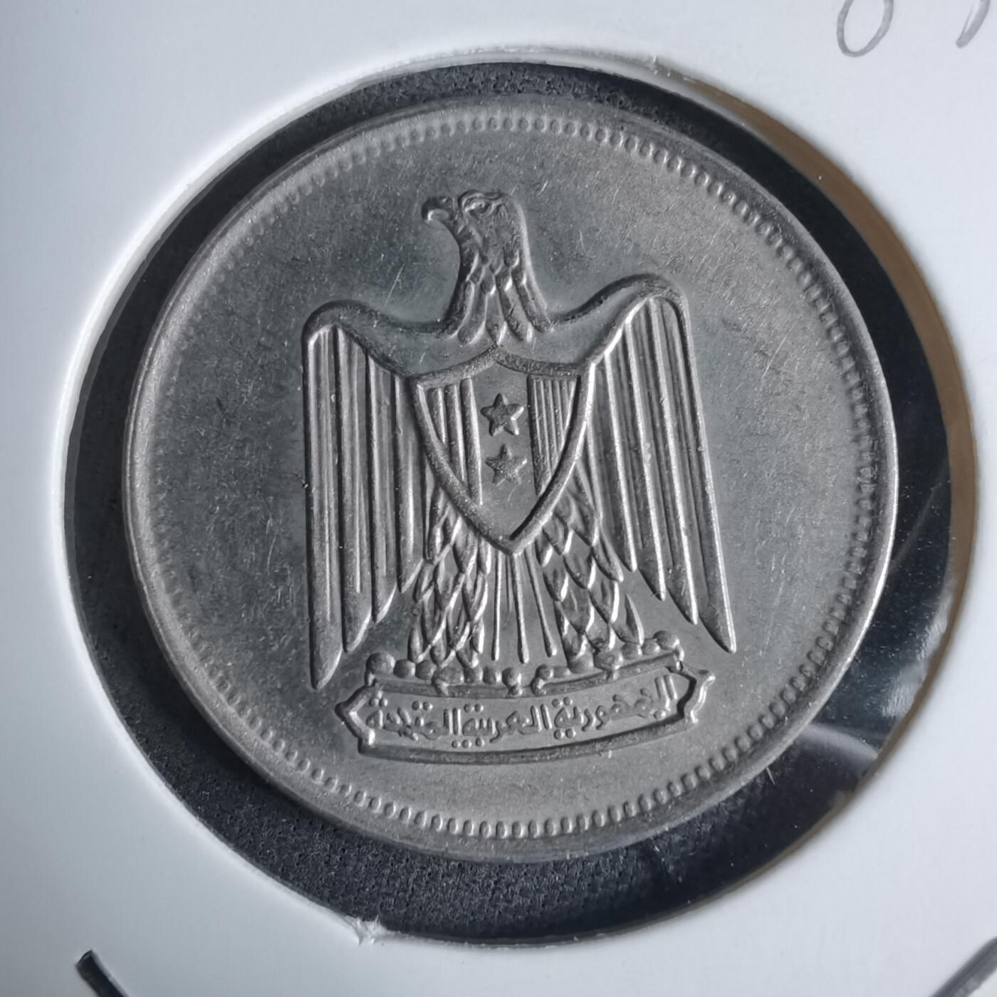 沼泽如烟--第983场