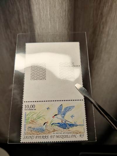 洪涛臻品批发群 精选邮票限时拍卖第1245期  - 法属圣皮埃尔和密克隆 北极燕鸥 原胶全品! 漂亮彩雕版! 高值10法郎(约61元人民币)