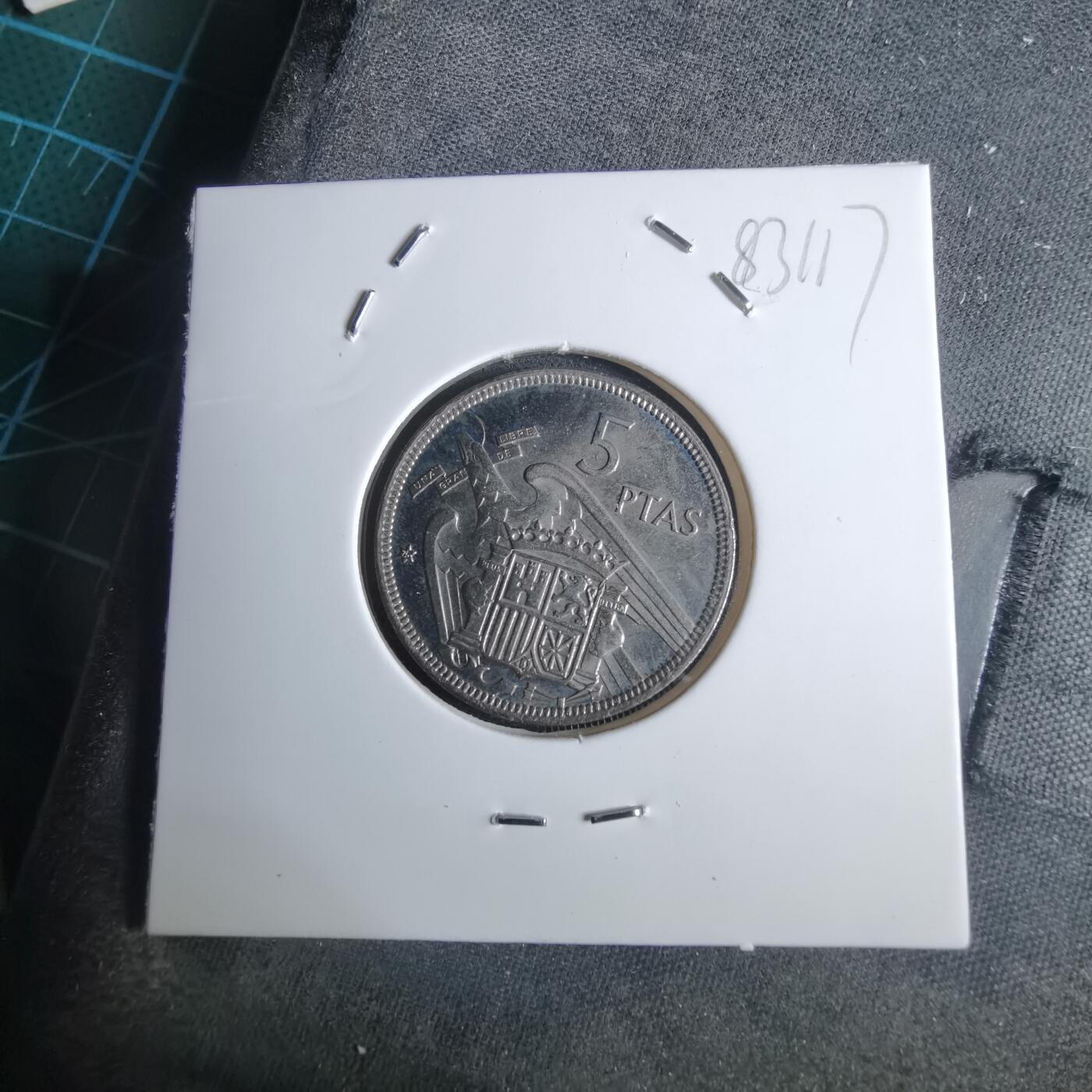 沼泽如烟--第983场