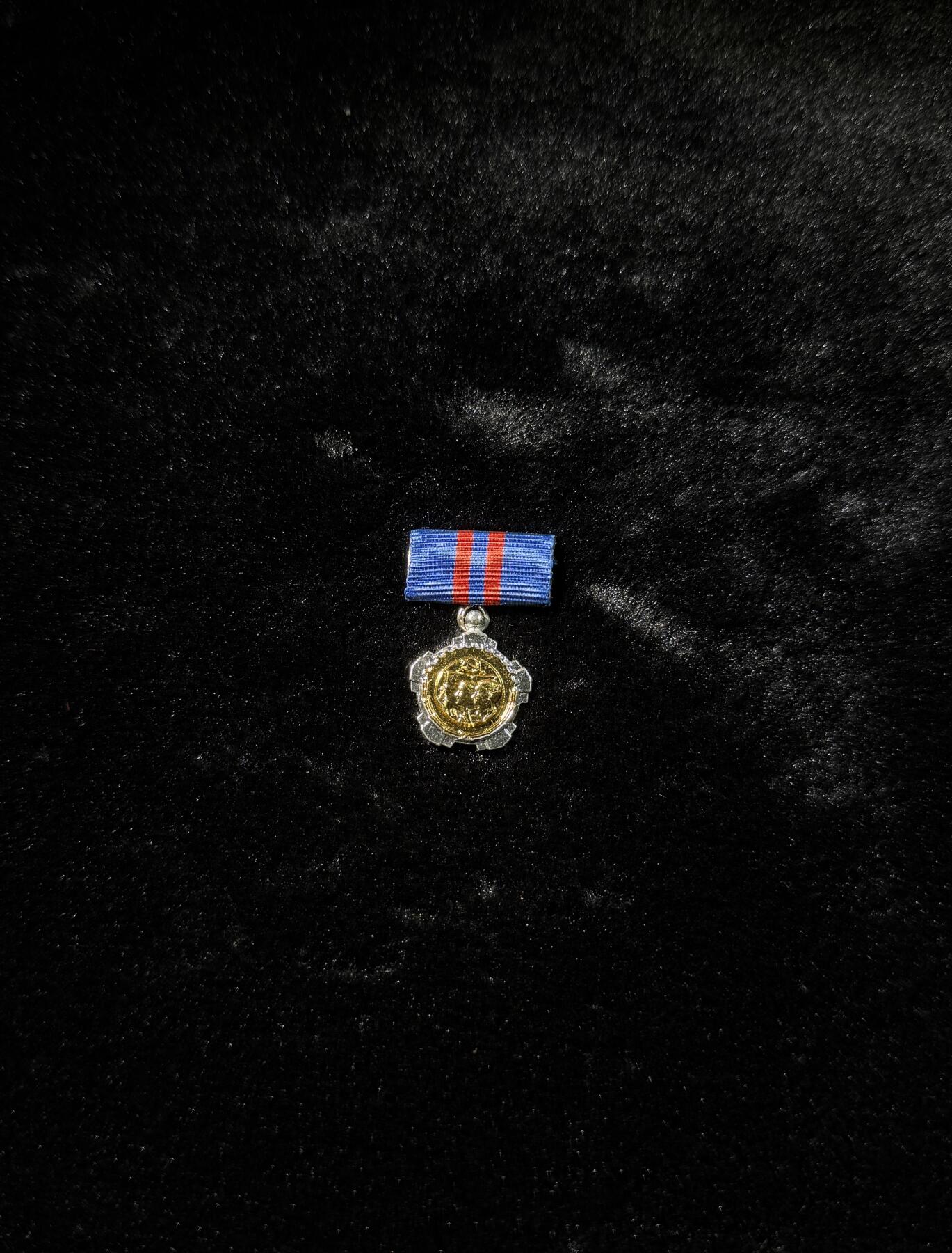 南斯拉夫小玩具专场 南斯拉夫二级劳动勋章mini章