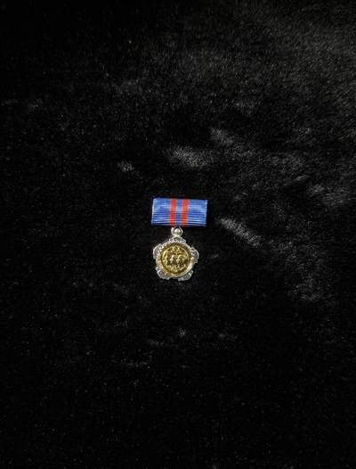 南斯拉夫小玩具专场 - 南斯拉夫二级劳动勋章mini章