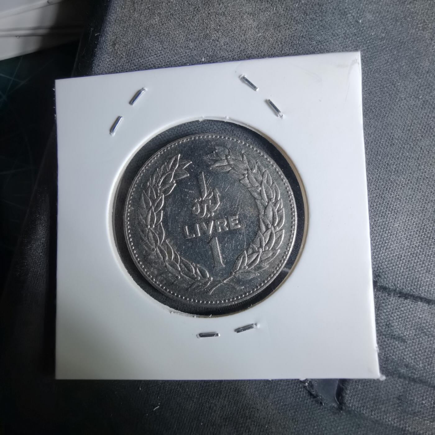 沼泽如烟--第984场