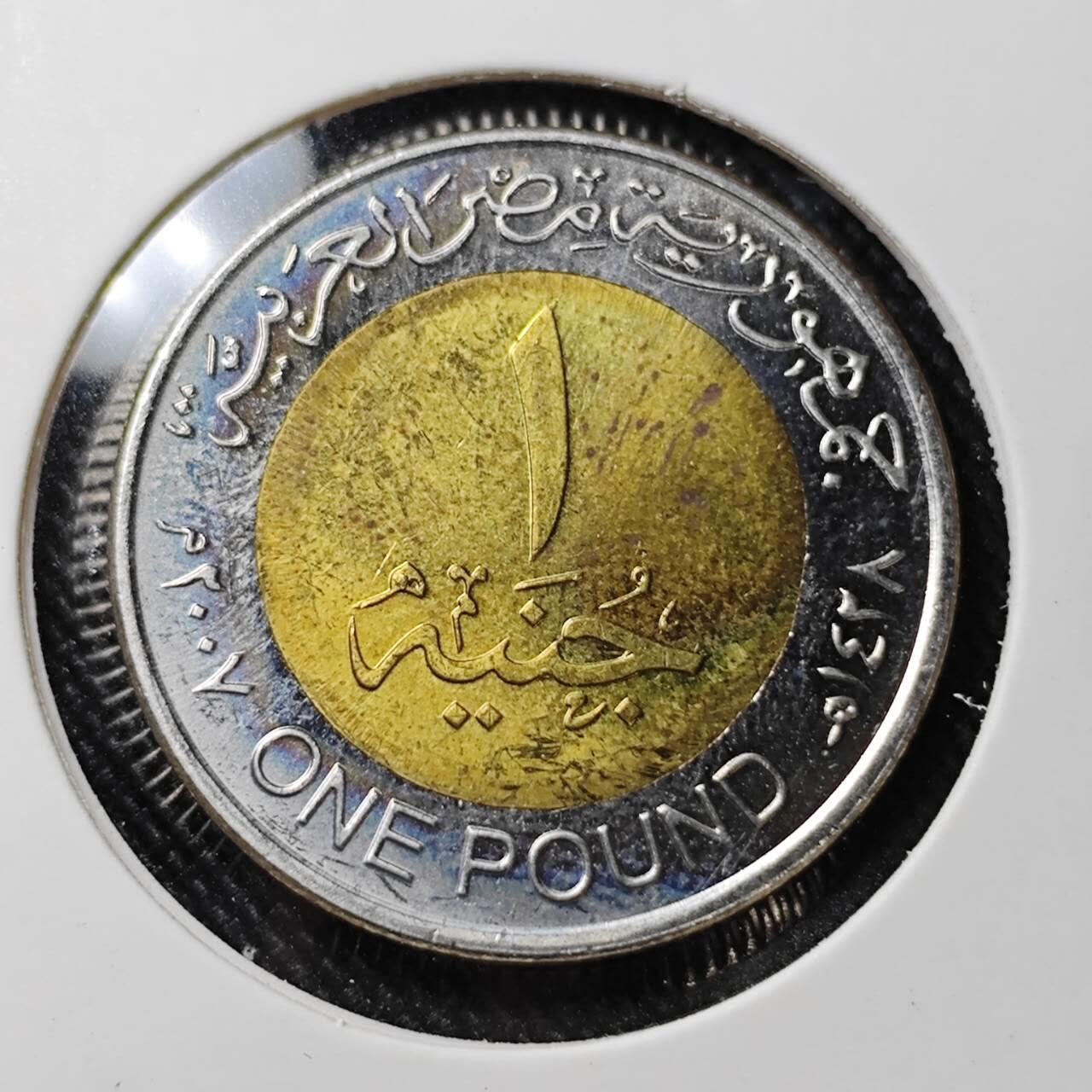 KK钱币收藏小铺  第392期  2月预留时间 周末发货  埃及1镑