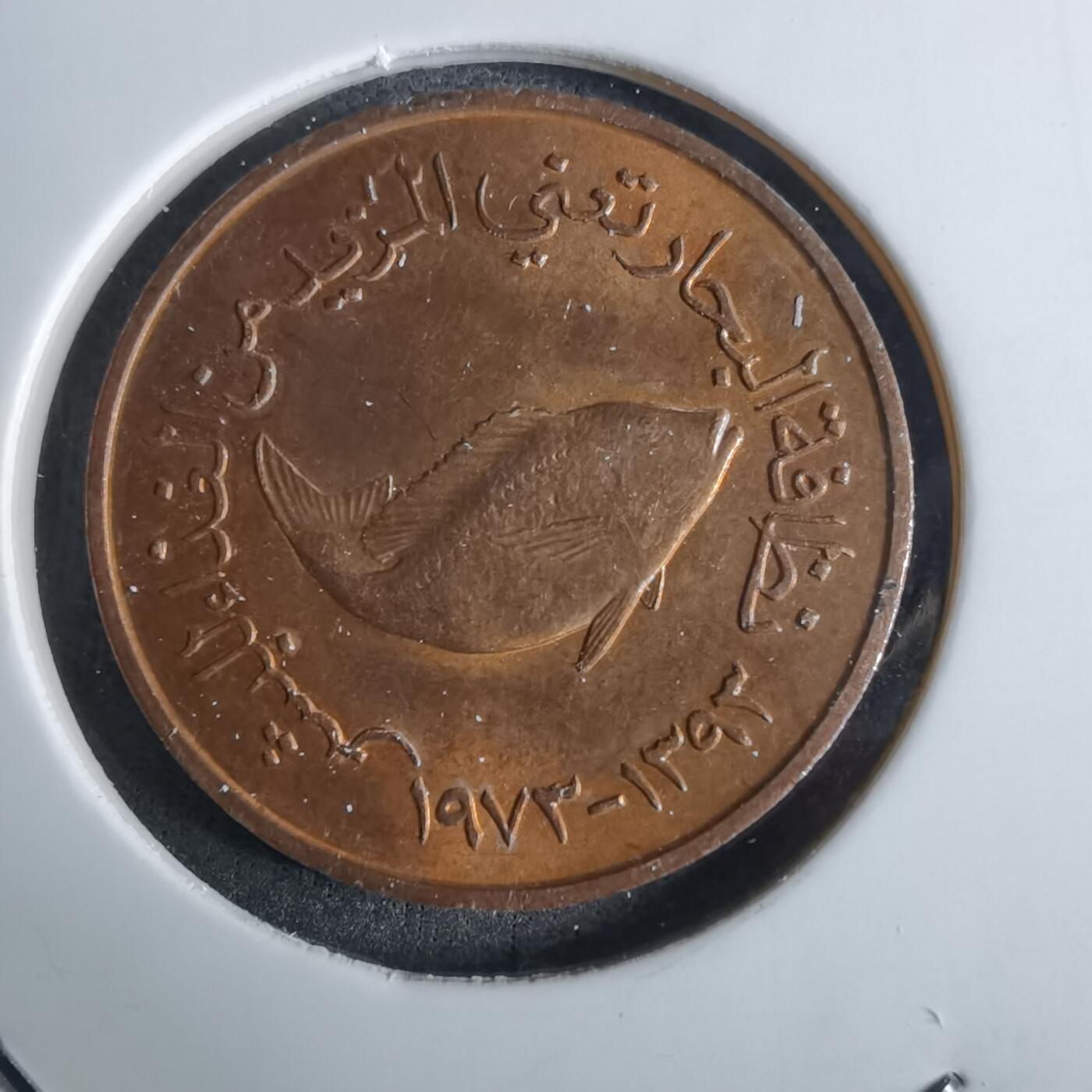 沼泽如烟--第984场 阿联酋