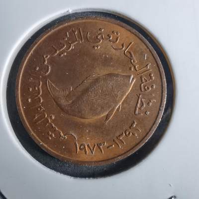 沼泽如烟--第984场 - 阿联酋