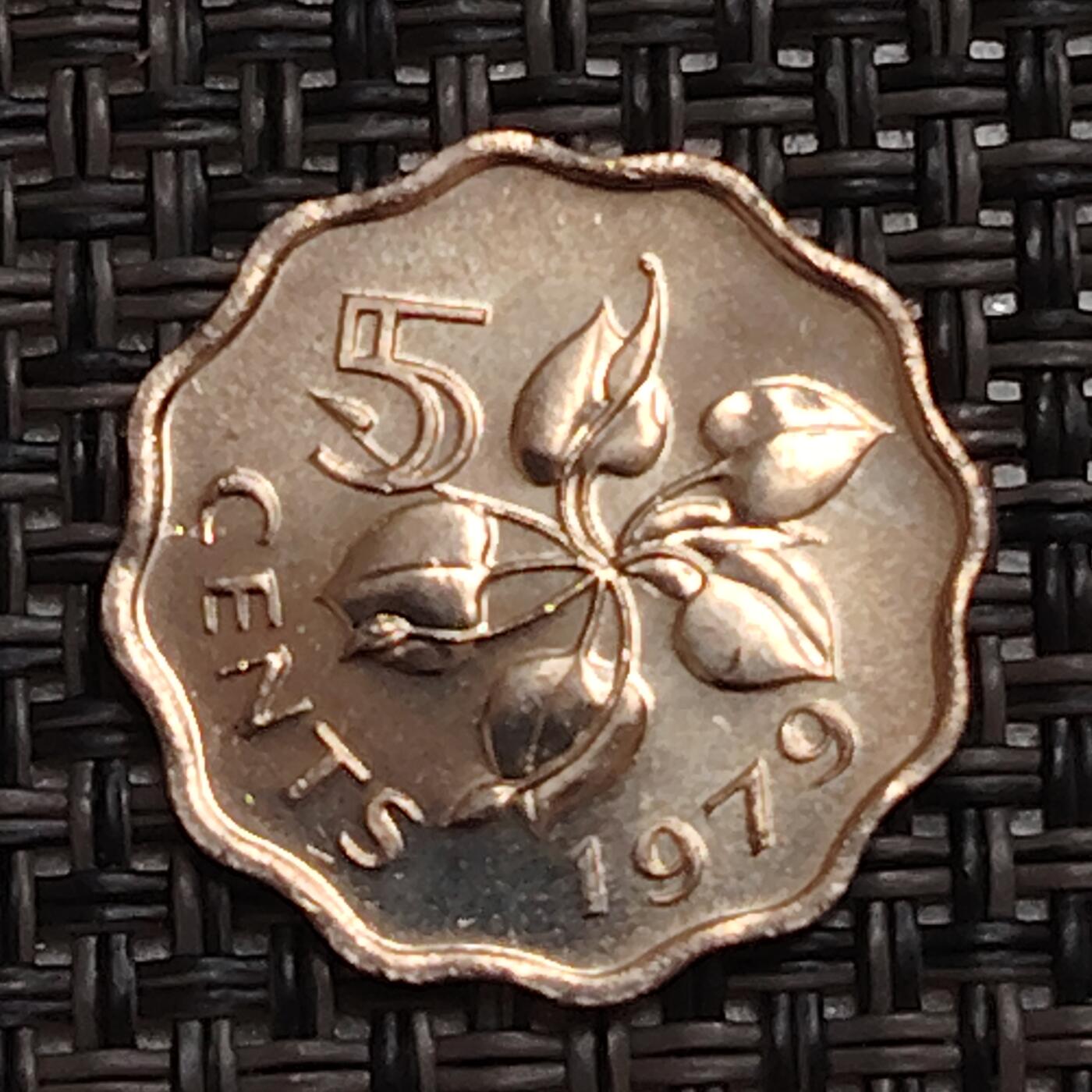 布加迪🐬～世界钱币(上海)🌾第 273 期 /  各国套币和散币 斯威士兰🇸🇿 1979年 5分