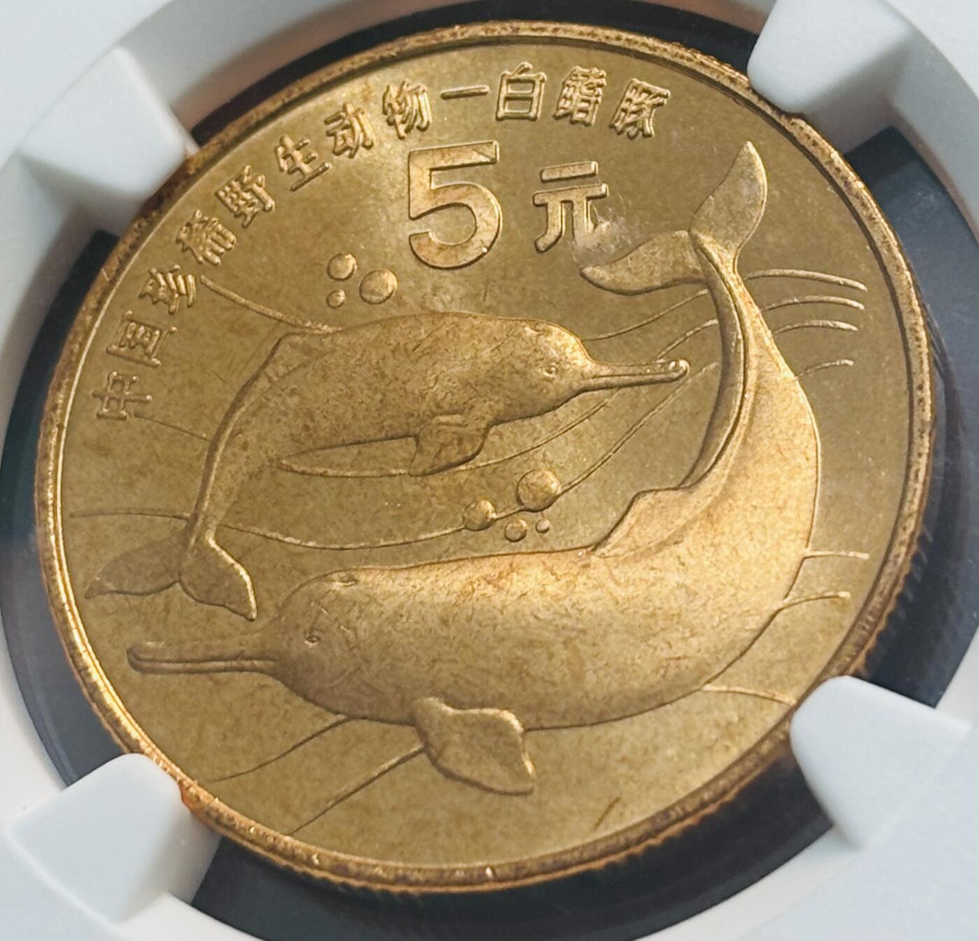 【金马踏春，泉马奔腾】2026 年新年贺岁场，（定于年初五接财神截拍）祝各位老板马到成功，马上有钱，愿岁岁平安喜乐顺遂