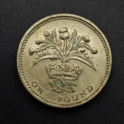 【淘币小摊】实时拍第八百六十三拍   小银币散币场   年前最后一周 之前的预留小年前全部发出 请更换最新收货地址  - 英国1984年一镑铜币