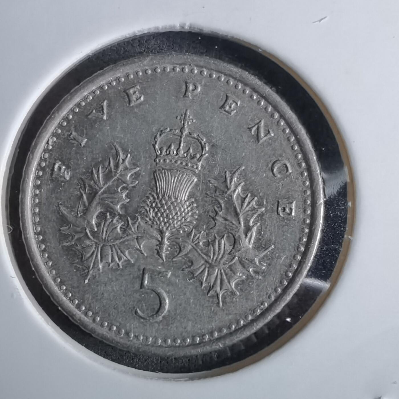 沼泽如烟--第984场