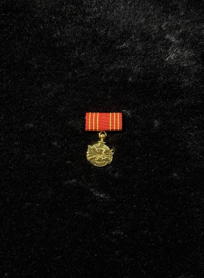 南斯拉夫小玩具专场 - 南斯拉夫勇敢勋章mini章，少见