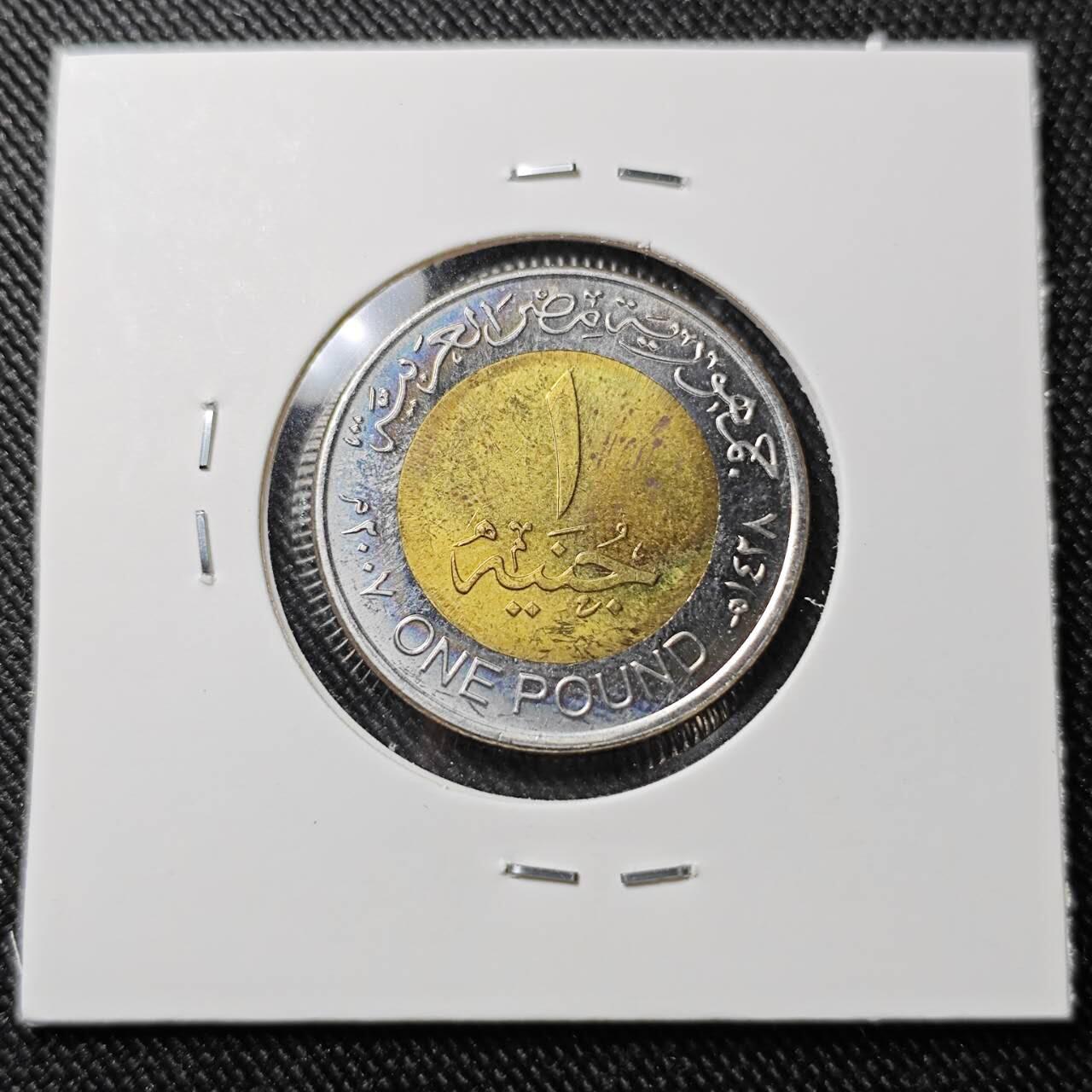 KK钱币收藏小铺  第392期  2月预留时间 周末发货  埃及1镑