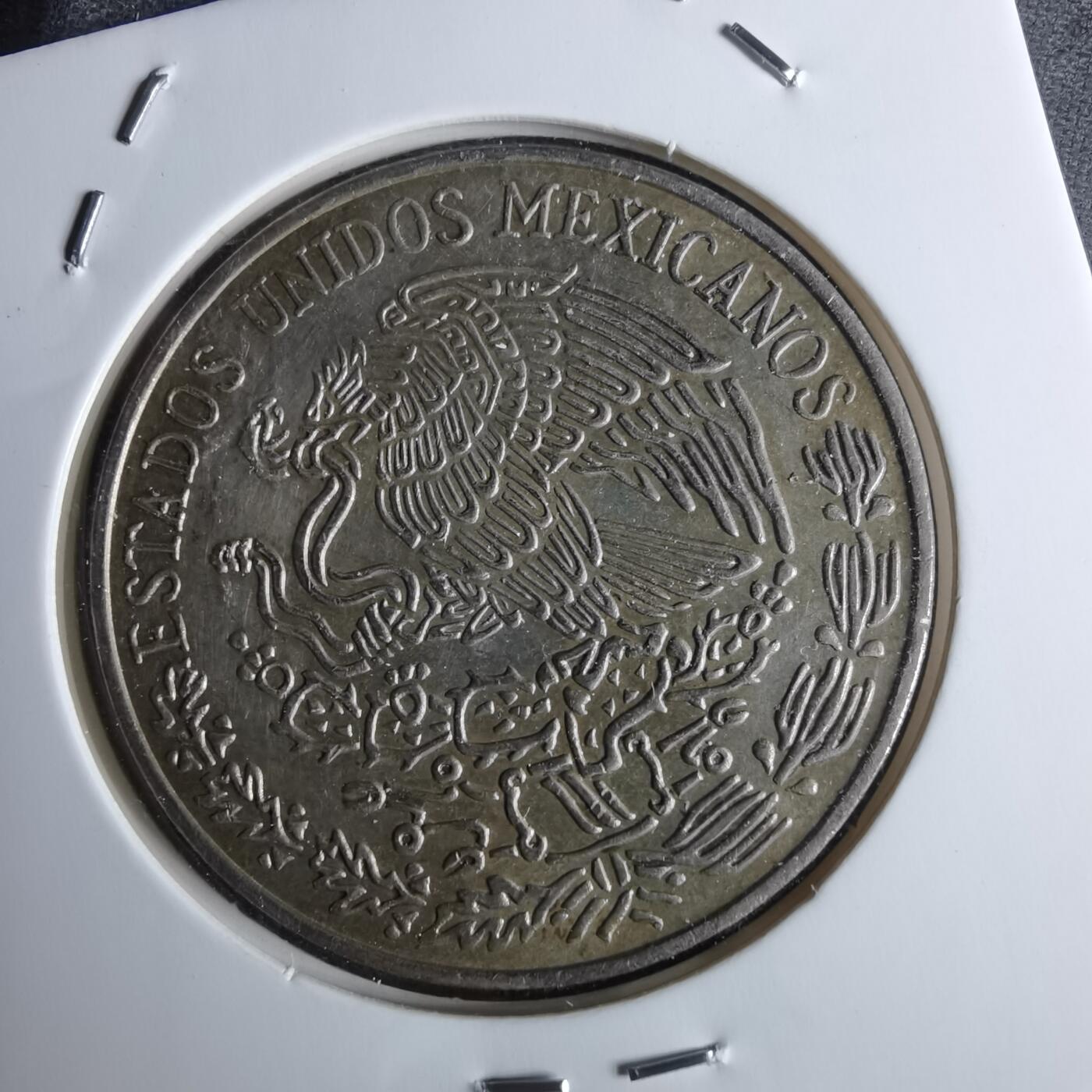 沼泽如烟--第984场