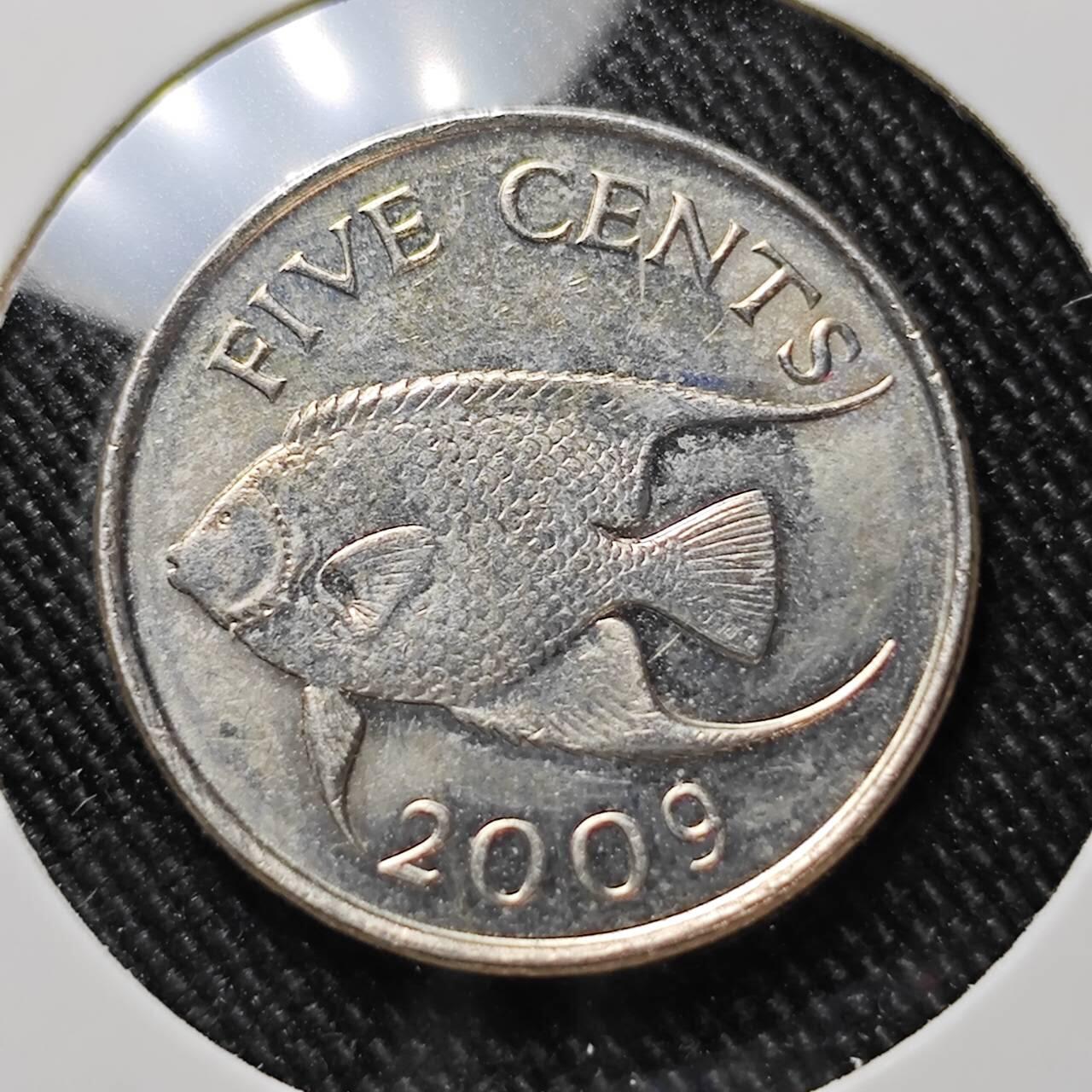 KK钱币收藏小铺  第392期  2月预留时间 周末发货  2009百慕大5分