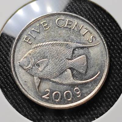 KK钱币收藏小铺  第392期  2月预留时间 周末发货 -  2009百慕大5分