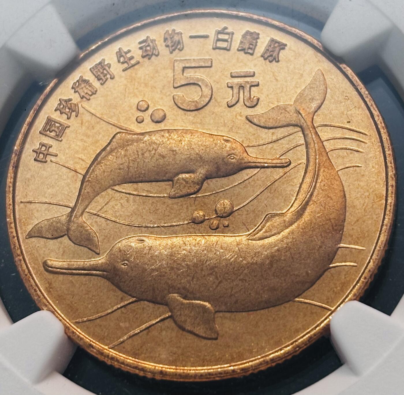 【金马踏春，泉马奔腾】2026 年新年贺岁场，（定于年初五接财神截拍）祝各位老板马到成功，马上有钱，愿岁岁平安喜乐顺遂