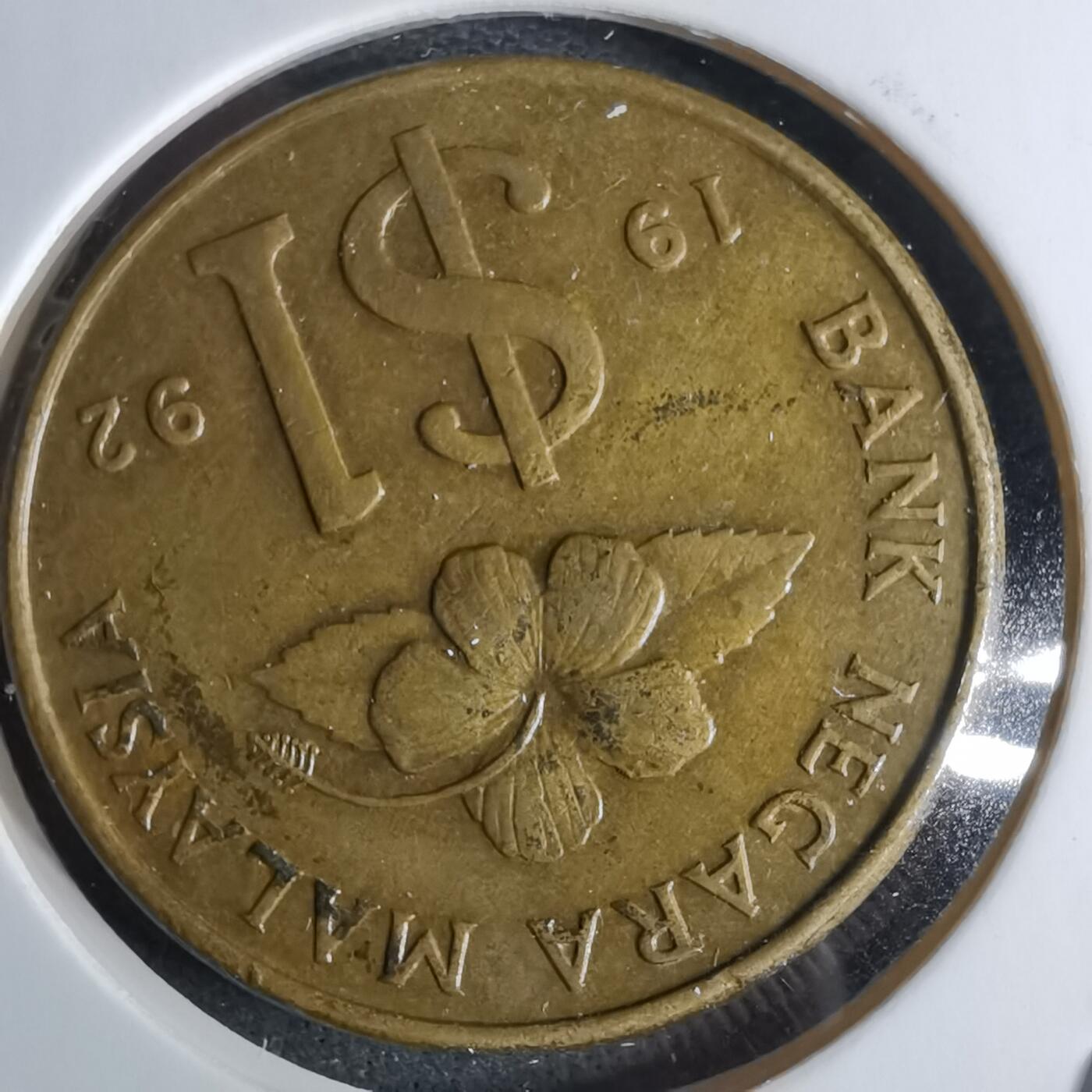 沼泽如烟--第984场