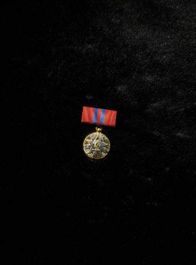 南斯拉夫小玩具专场 - 南斯拉夫二级人民功勋mini章