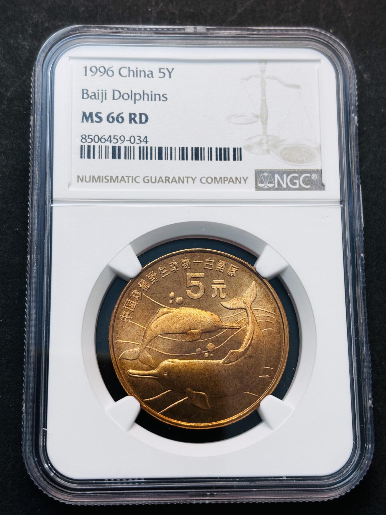 【金马踏春，泉马奔腾】2026 年新年贺岁场，（定于年初五接财神截拍）祝各位老板马到成功，马上有钱，愿岁岁平安喜乐顺遂