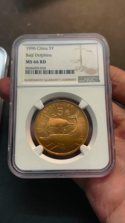 【金马踏春，泉马奔腾】2026 年新年贺岁场，（定于年初五接财神截拍）祝各位老板马到成功，马上有钱，愿岁岁平安喜乐顺遂