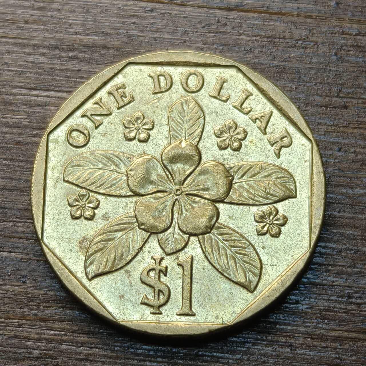 【本场4.12号发货】★第145★散币专场 不寄存，30包邮。不满30元，支付5元运费。《接受代拍 代送NGC评级》 61【无寄存】新加坡 1989年1元 黄铜币 胡姬花