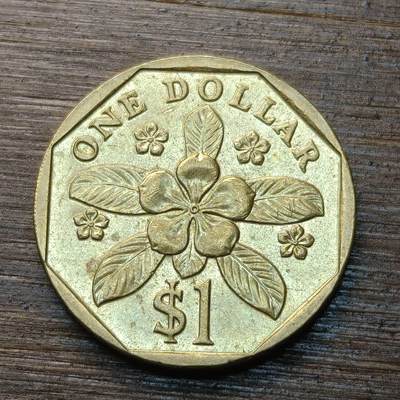 【本场4.12号发货】★第145★散币专场 不寄存，30包邮。不满30元，支付5元运费。《接受代拍 代送NGC评级》 - 61【无寄存】新加坡 1989年1元 黄铜币 胡姬花