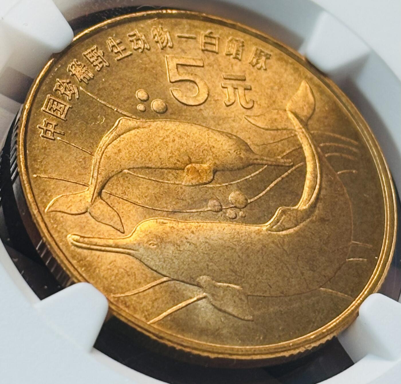 【金马踏春，泉马奔腾】2026 年新年贺岁场，（定于年初五接财神截拍）祝各位老板马到成功，马上有钱，愿岁岁平安喜乐顺遂