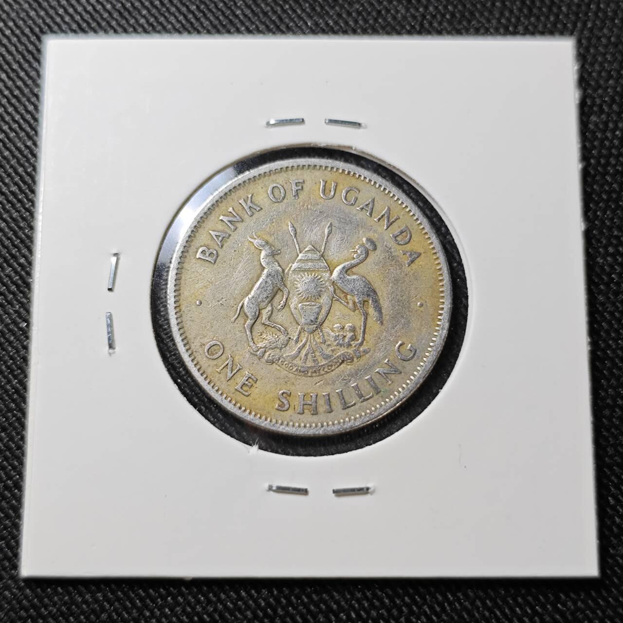 KK钱币收藏小铺  第392期  2月预留时间 周末发货  1968乌干达1先令