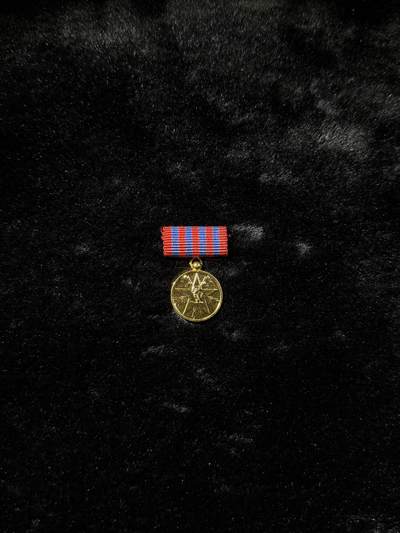 南斯拉夫小玩具专场 - 南斯拉夫人民功勋奖章mini章