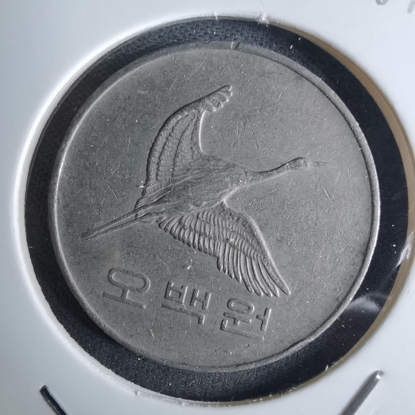 沼泽如烟--第984场