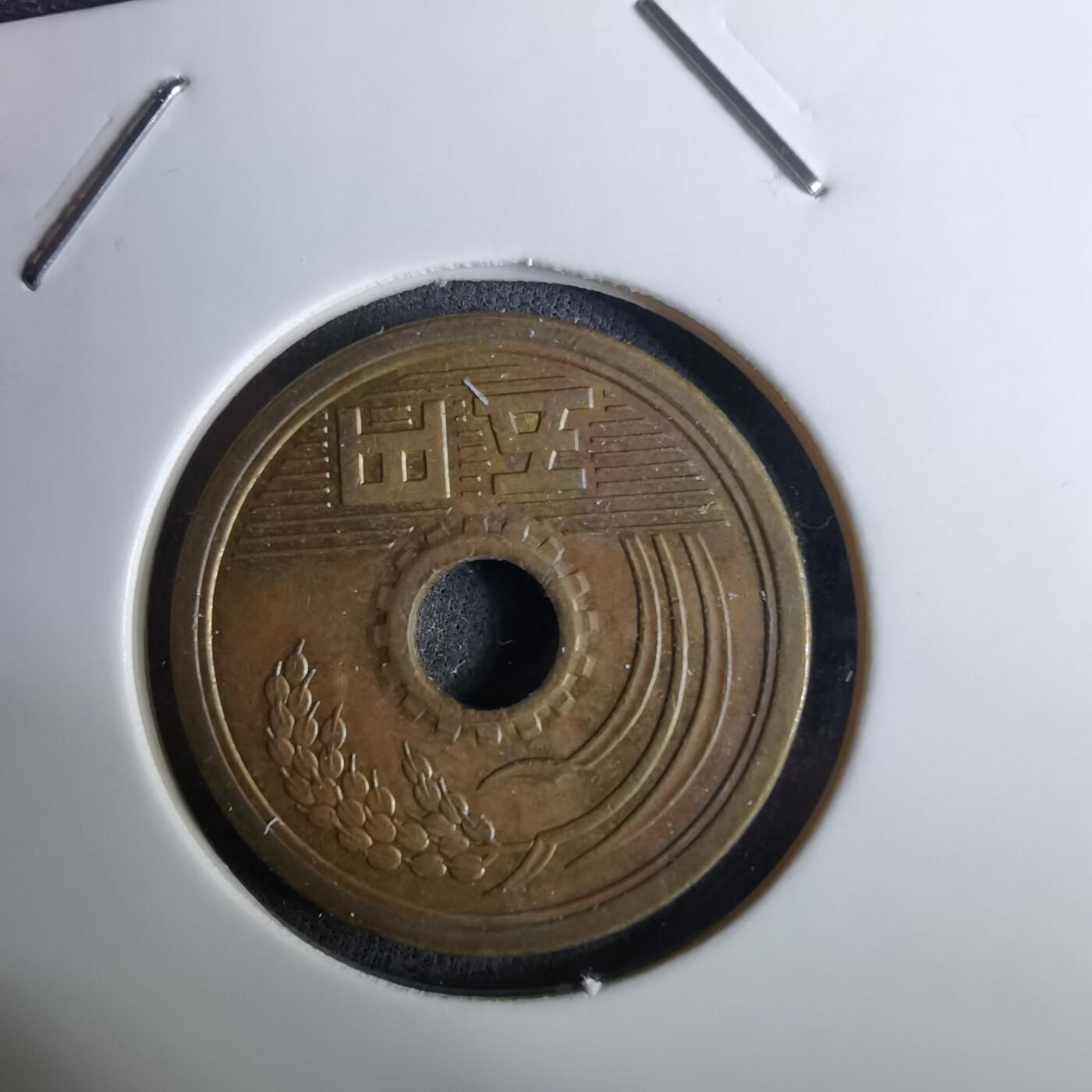 沼泽如烟--第984场 昭和五十八年五元