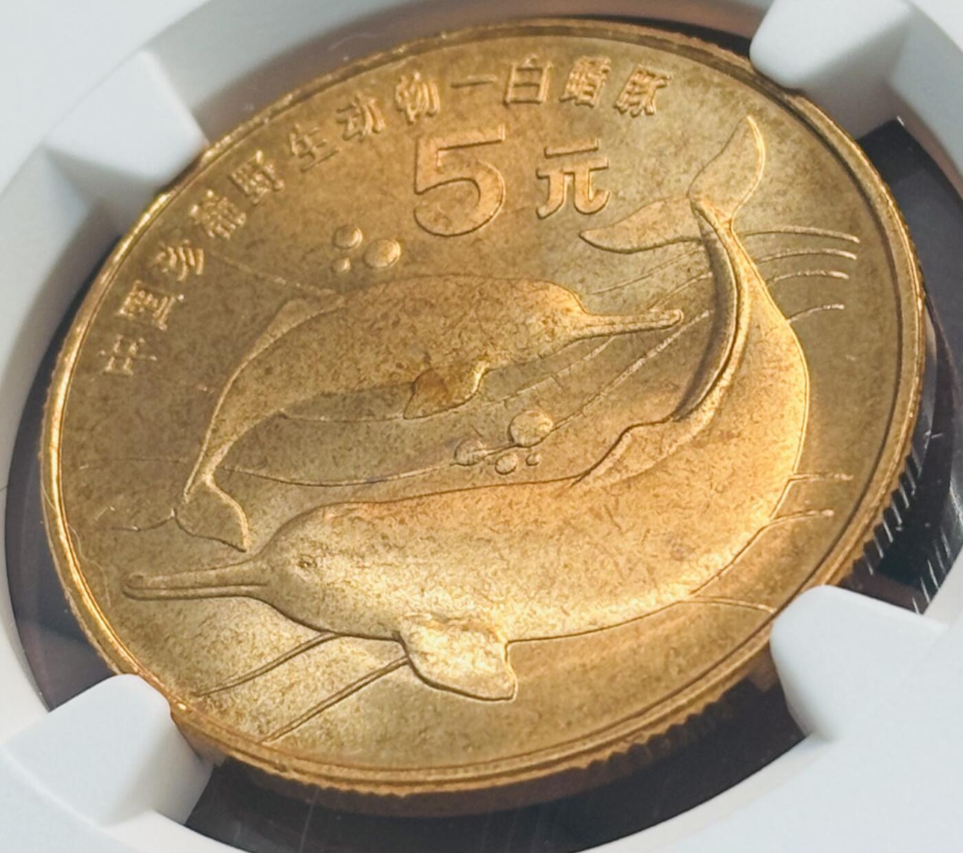 【金马踏春，泉马奔腾】2026 年新年贺岁场，（定于年初五接财神截拍）祝各位老板马到成功，马上有钱，愿岁岁平安喜乐顺遂