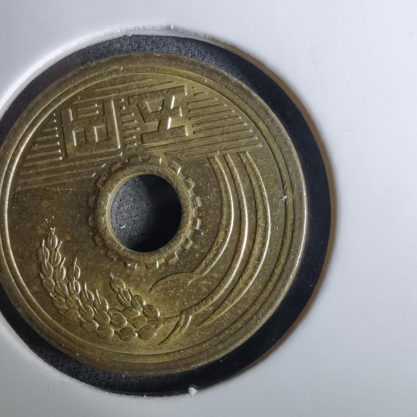 沼泽如烟--第984场 平成二年五元