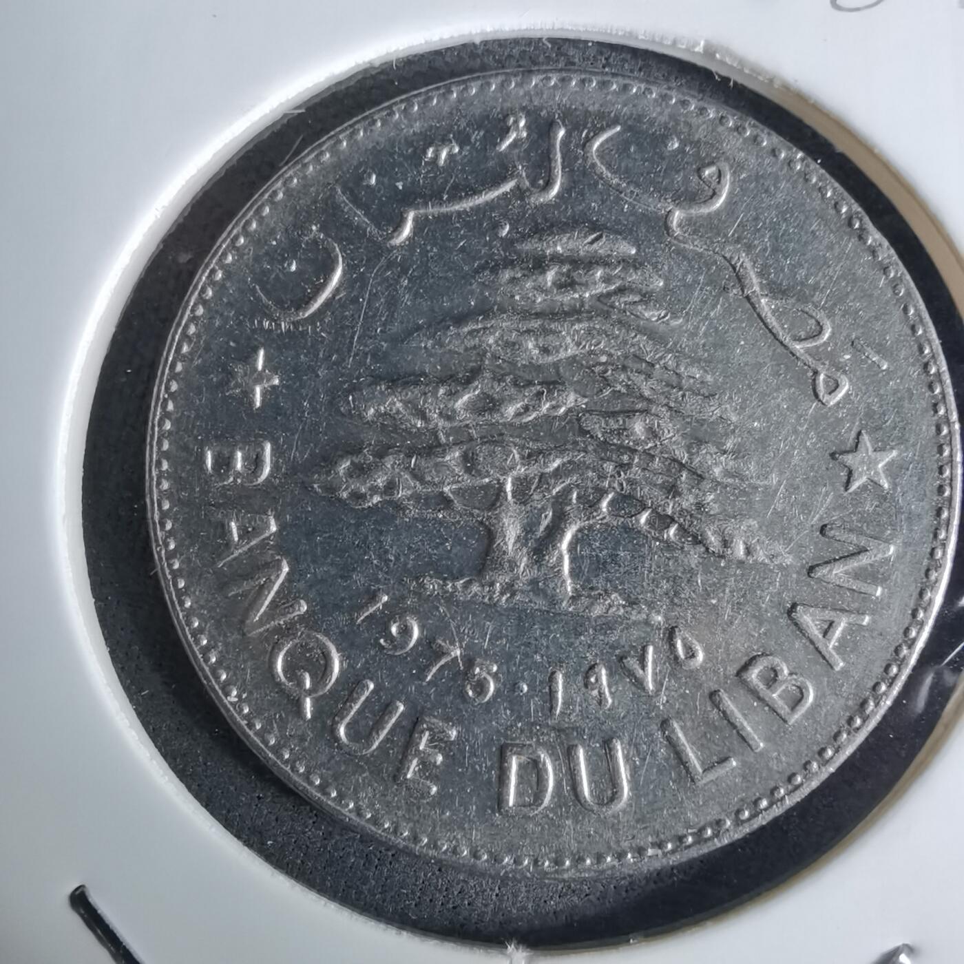 沼泽如烟--第984场