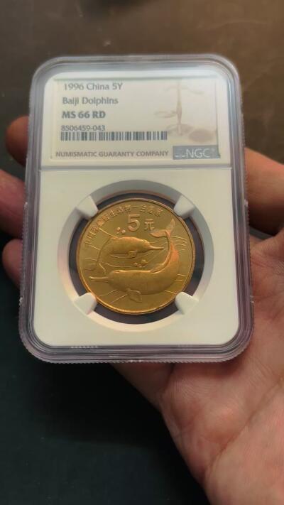 【金马踏春，泉马奔腾】2026 年新年贺岁场，（定于年初五接财神截拍）祝各位老板马到成功，马上有钱，愿岁岁平安喜乐顺遂