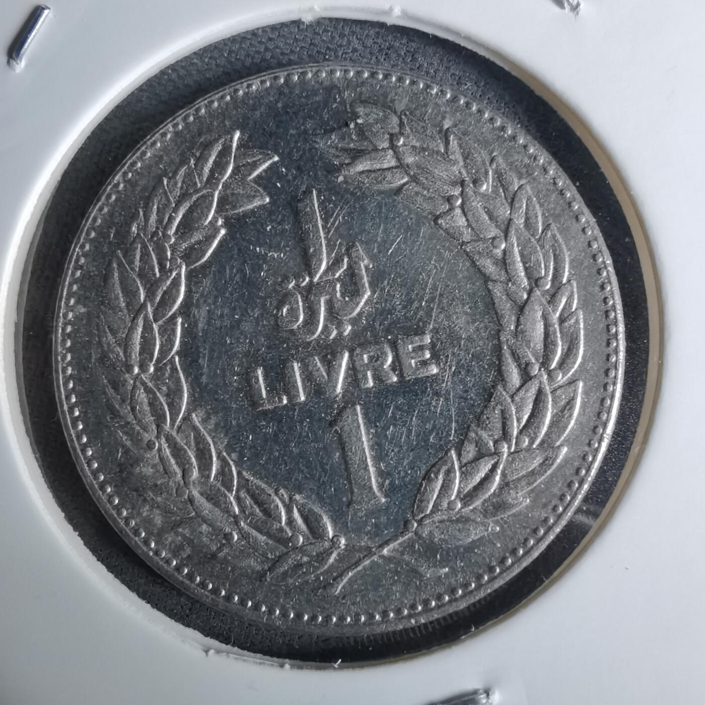 沼泽如烟--第984场