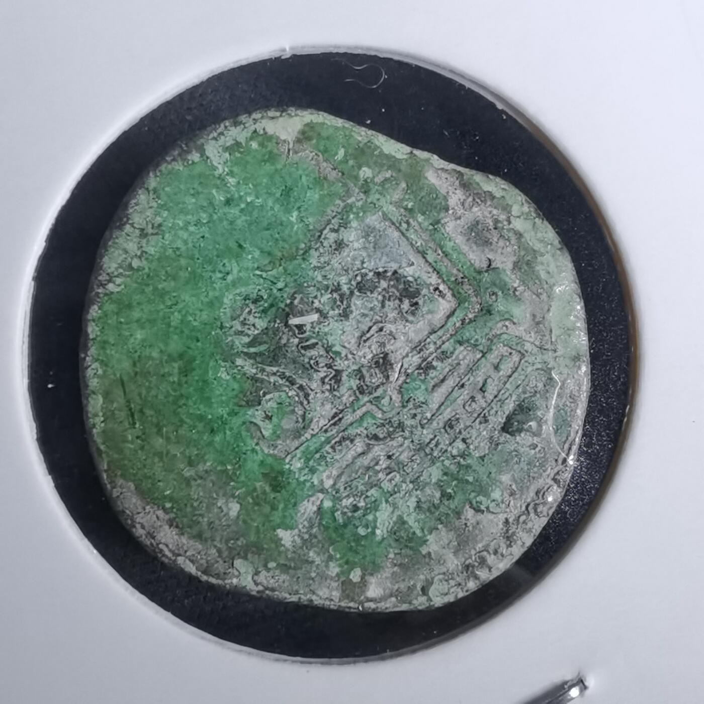 沼泽如烟--第984场