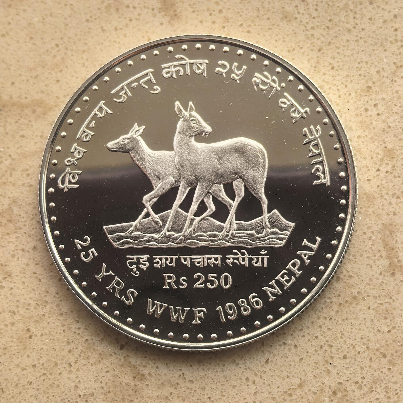 道一币馆币章第一百六十五场