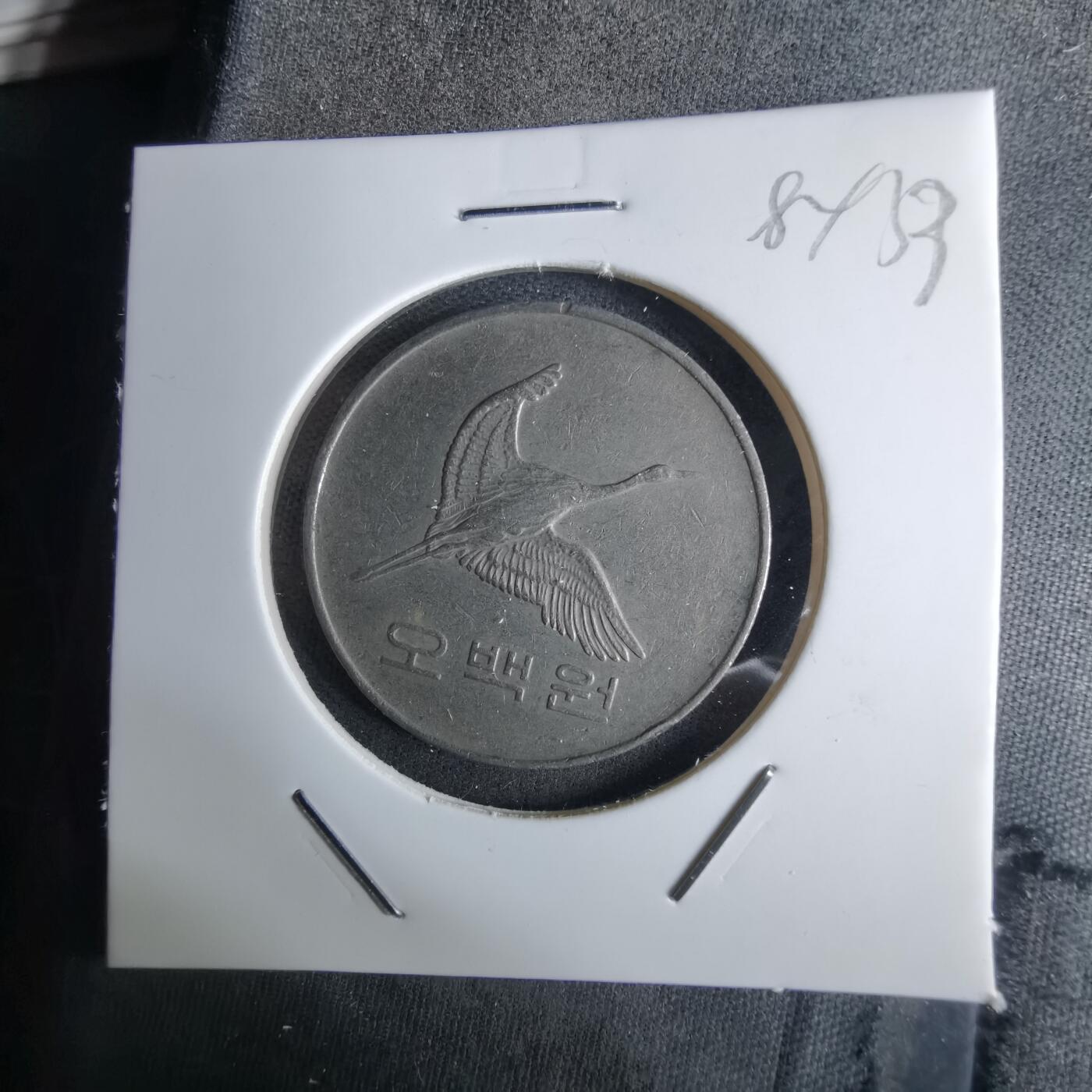 沼泽如烟--第984场